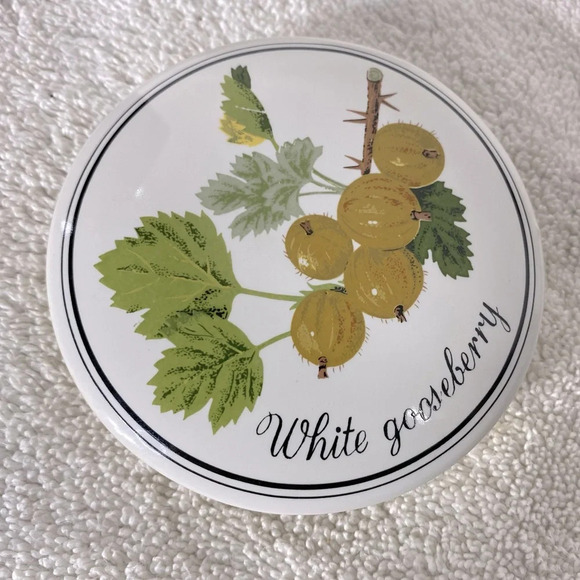 Vintage MCM White Gooseberry 12oz Ceramic Canister Jar Container - Picture 2 of 14